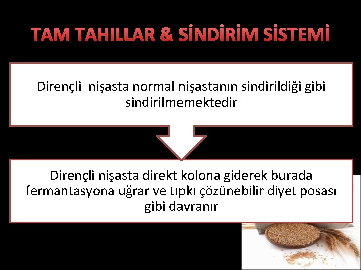 TAM TAHILLAR & SİNDİRİM SİSTEMİ Dirençli nişasta normal nişastanın sindirildiği gibi sindirilmemektedir Dirençli nişasta