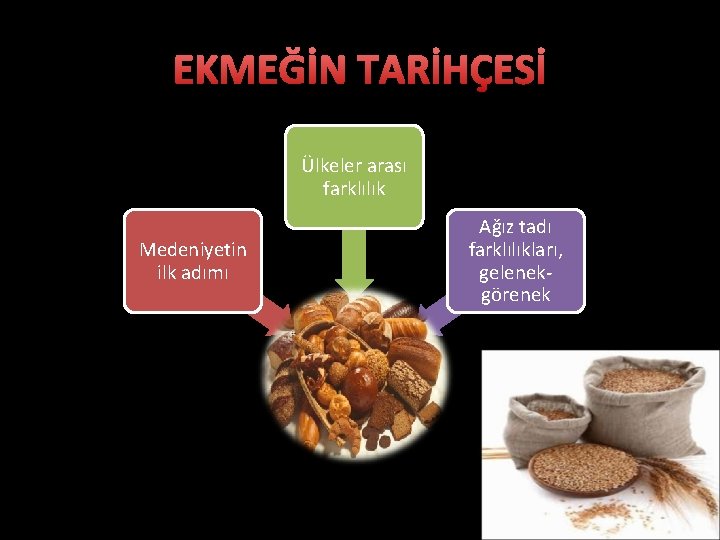 EKMEĞİN TARİHÇESİ Ülkeler arası farklılık Medeniyetin ilk adımı Ağız tadı farklılıkları, gelenekgörenek 