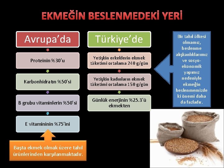 EKMEĞİN BESLENMEDEKİ YERİ Avrupa’da Türkiye’de Proteinin %30’u Yetişkin erkeklerin ekmek tüketimi ortalama 240 g/gün