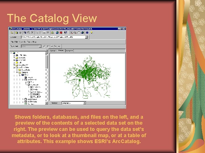 The Catalog View Shows folders, databases, and files on the left, and a preview