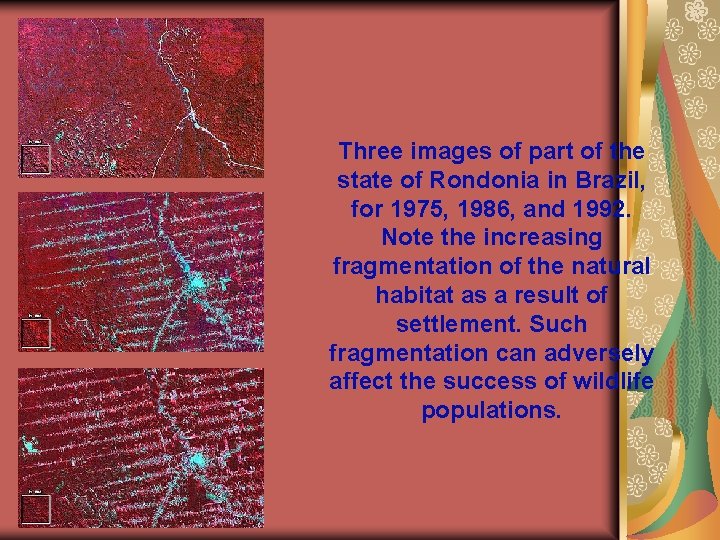 Three images of part of the state of Rondonia in Brazil, for 1975, 1986,