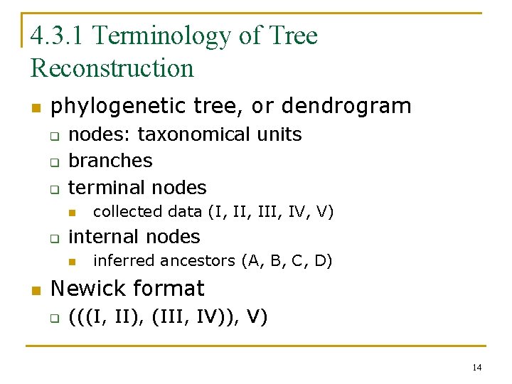 4. 3. 1 Terminology of Tree Reconstruction n phylogenetic tree, or dendrogram q q