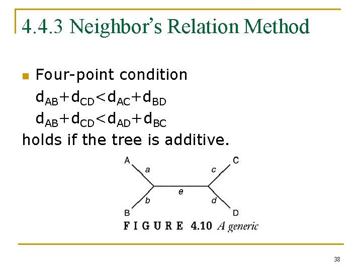 4. 4. 3 Neighbor’s Relation Method Four-point condition d. AB+d. CD<d. AC+d. BD d.