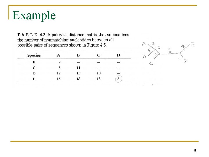 Example 41 