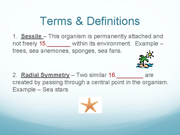 Terms & Definitions 1. Sessile – This organism is permanently attached and not freely