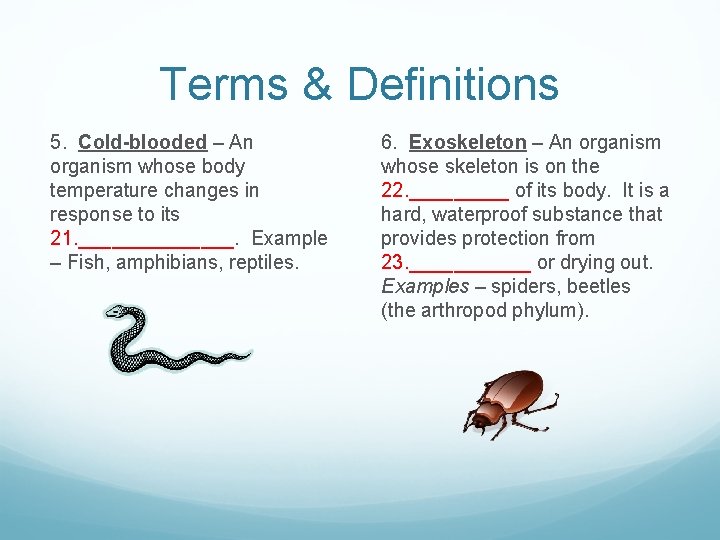 Terms & Definitions 5. Cold-blooded – An organism whose body temperature changes in response