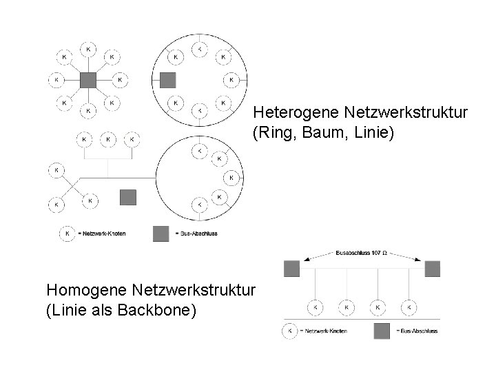 Heterogene Netzwerkstruktur (Ring, Baum, Linie) Homogene Netzwerkstruktur (Linie als Backbone) 