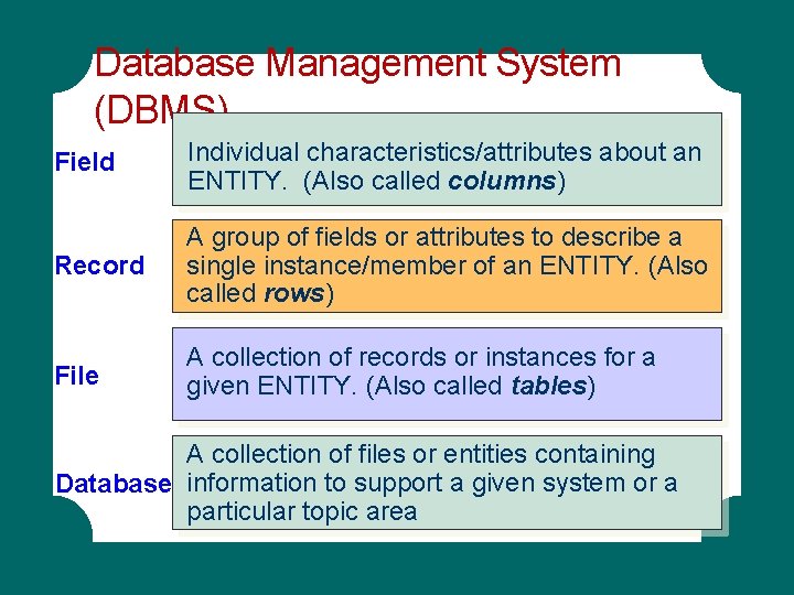 Database Management System (DBMS) Field Individual characteristics/attributes about an ENTITY. (Also called columns) Record Database Management System (DBMS) Field Individual characteristics/attributes about an ENTITY. (Also called columns) Record
