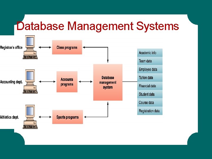 Database Management Systems Database Management Systems