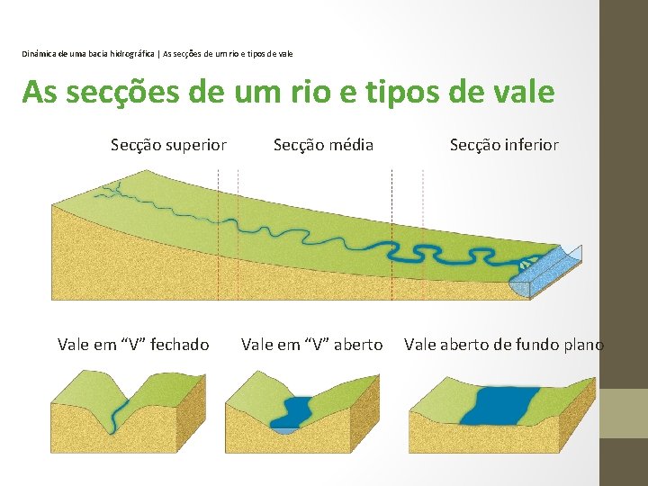 Dinâmica de uma bacia hidrográfica | As secções de um rio e tipos de