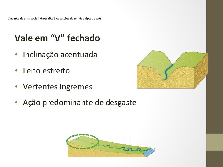 Dinâmica de uma bacia hidrográfica | As secções de um rio e tipos de