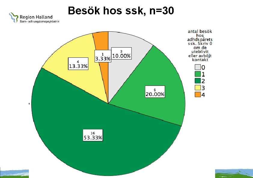 Besök hos ssk, n=30 