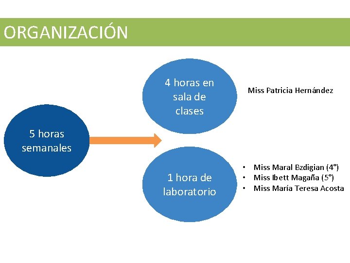 ORGANIZACIÓN 4 horas en sala de clases Miss Patricia Hernández 5 horas semanales 1