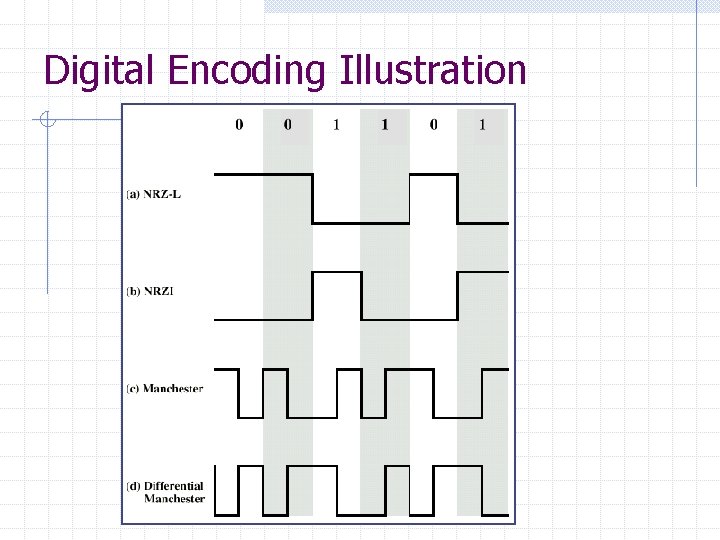 Digital Encoding Illustration 