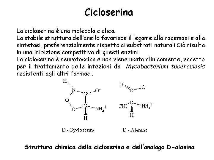 Cicloserina La cicloserina è una molecola ciclica. La stabile struttura dell’anello favorisce il legame