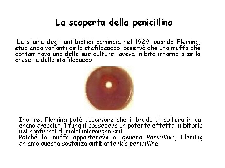 La scoperta della penicillina La storia degli antibiotici comincia nel 1929, quando Fleming, studiando