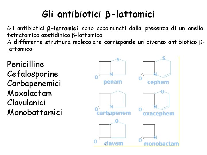 Gli antibiotici β-lattamici Gli antibiotici b-lattamici sono accomunati dalla presenza di un anello tetratomico