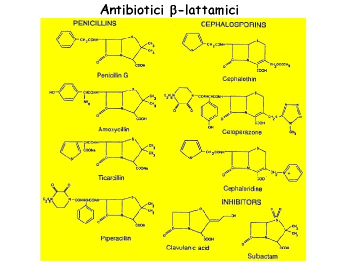 Antibiotici b-lattamici 