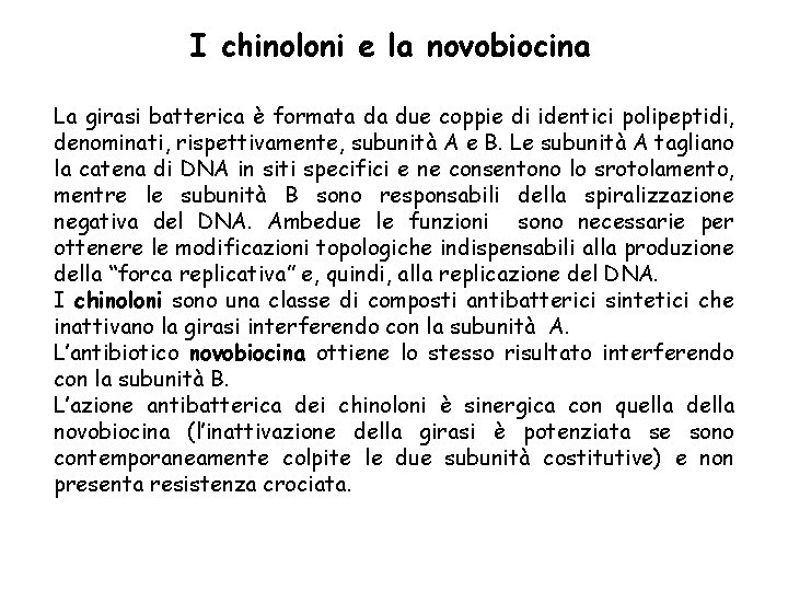 I chinoloni e la novobiocina La girasi batterica è formata da due coppie di