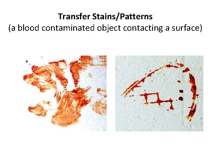 Transfer Stains/Patterns (a blood contaminated object contacting a surface) 