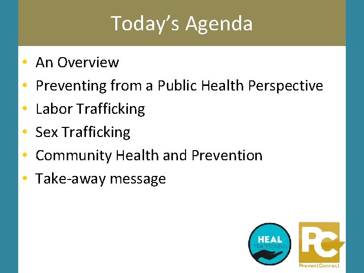 Today’s Agenda • • • An Overview Preventing from a Public Health Perspective Labor