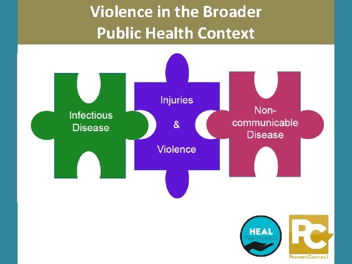 Violence in the Broader Public Health Context 