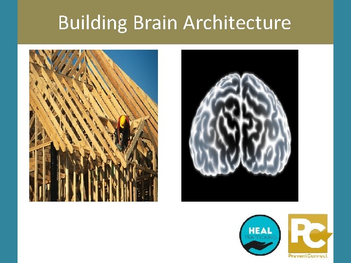 Building Brain Architecture 