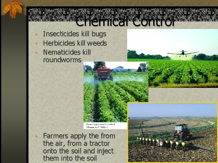 Chemical Control • Insecticides kill bugs • Herbicides kill weeds • Nematicides kill roundworms