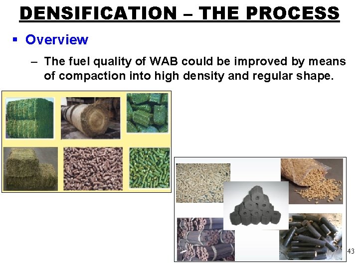 DENSIFICATION – THE PROCESS § Overview – The fuel quality of WAB could be