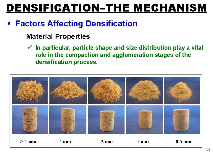 DENSIFICATION–THE MECHANISM § Factors Affecting Densification – Material Properties ü In particular, particle shape