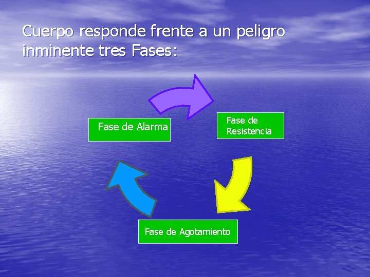 Cuerpo responde frente a un peligro inminente tres Fases: Fase de Alarma Fase de