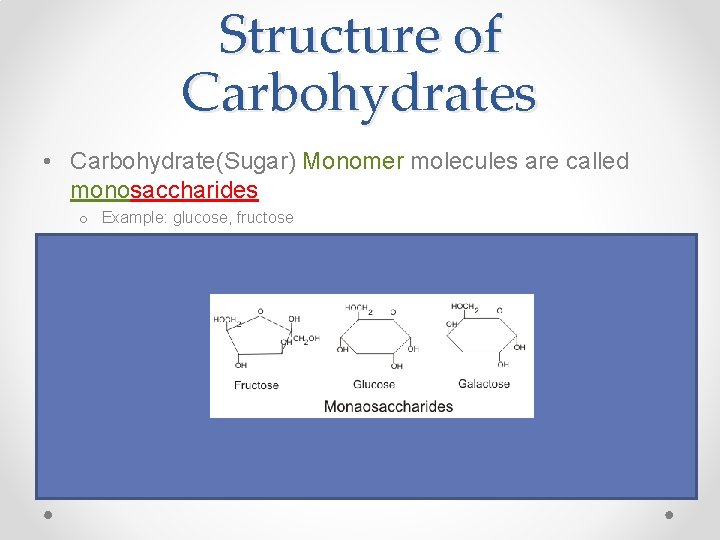 Structure of Carbohydrates • Carbohydrate(Sugar) Monomer molecules are called monosaccharides o Example: glucose, fructose