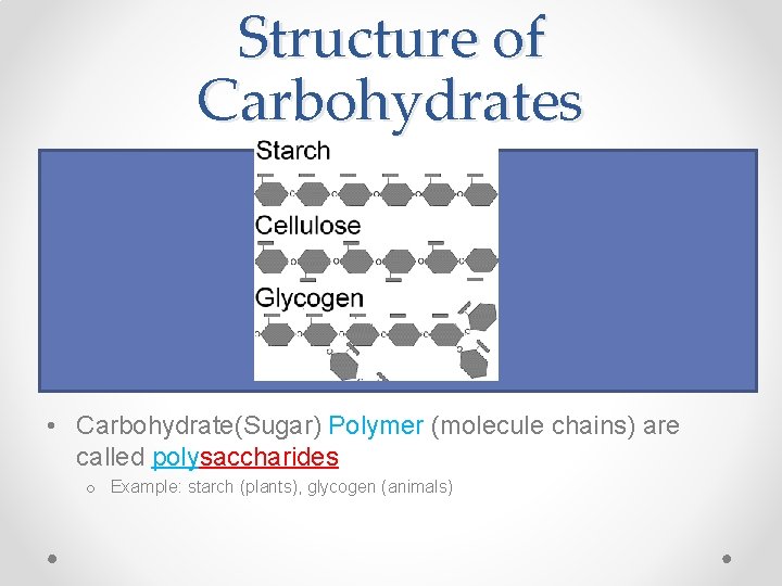 Structure of Carbohydrates • Carbohydrate(Sugar) Monomer molecules are called monosaccharides o Example: glucose, fructose