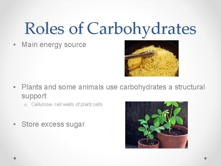 Roles of Carbohydrates • Main energy source • Plants and some animals use carbohydrates