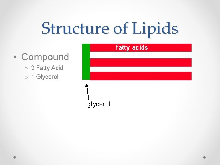 Structure of Lipids • Compound o 3 Fatty Acid o 1 Glycerol 