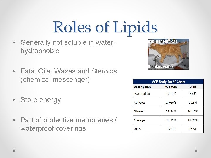 Roles of Lipids • Generally not soluble in waterhydrophobic • Fats, Oils, Waxes and