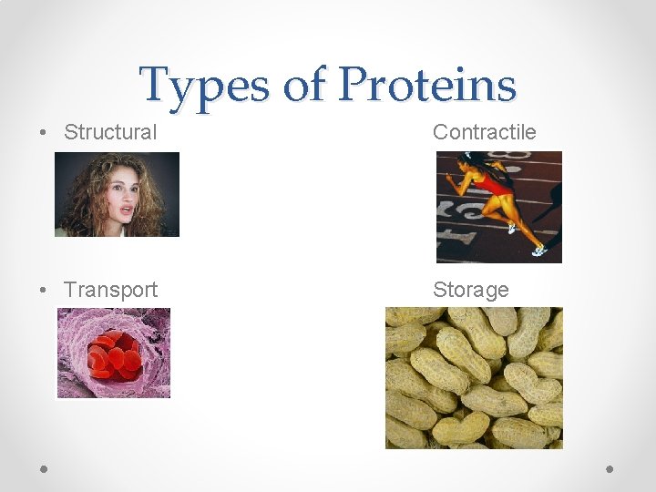 Types of Proteins • Structural Contractile • Transport Storage 