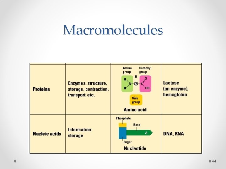 Macromolecules 44 