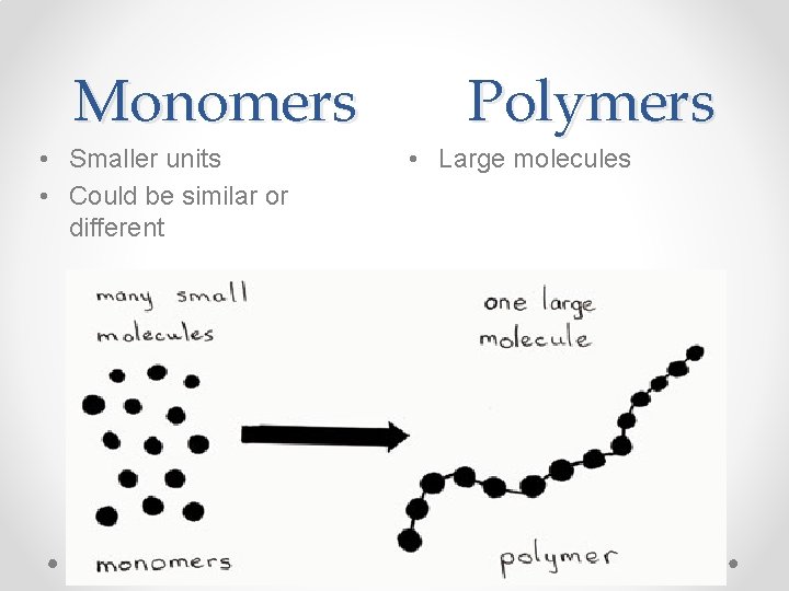 Monomers • Smaller units • Could be similar or different Polymers • Large molecules