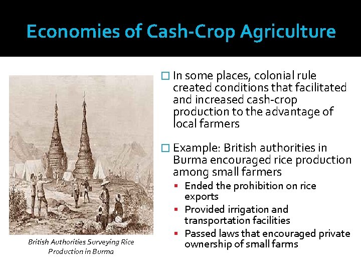 Economies of Cash-Crop Agriculture � In some places, colonial rule created conditions that facilitated