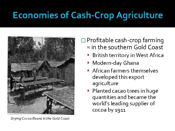 Economies of Cash-Crop Agriculture � Profitable cash-crop farming = in the southern Gold Coast