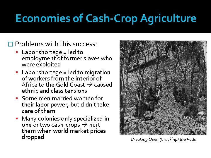 Economies of Cash-Crop Agriculture � Problems with this success: Labor shortage = led to