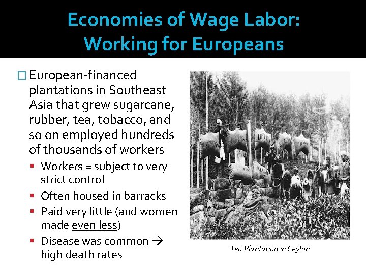 Economies of Wage Labor: Working for Europeans � European-financed plantations in Southeast Asia that
