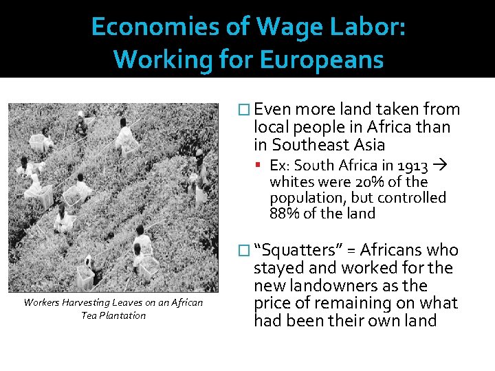 Economies of Wage Labor: Working for Europeans � Even more land taken from local