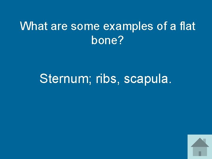 What are some examples of a flat bone? Sternum; ribs, scapula. 