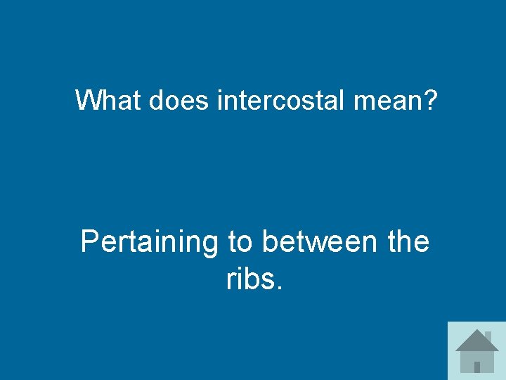 What does intercostal mean? Pertaining to between the ribs. 