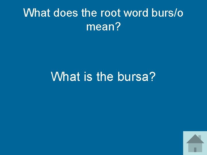 What does the root word burs/o mean? What is the bursa? 