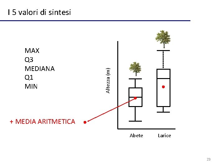 MAX Q 3 MEDIANA Q 1 MIN Altezza (m) I 5 valori di sintesi