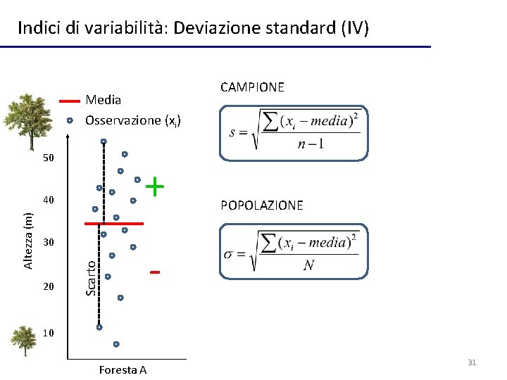 Indici di variabilità: Deviazione standard (IV) Media Osservazione (xi) 50 + 30 20 Scarto