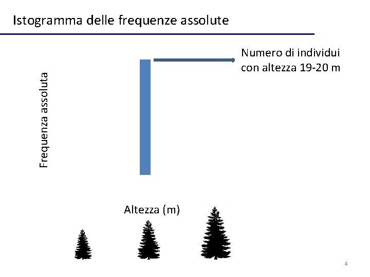 Istogramma delle frequenze assolute Frequenza assoluta Numero di individui con altezza 19 -20 m